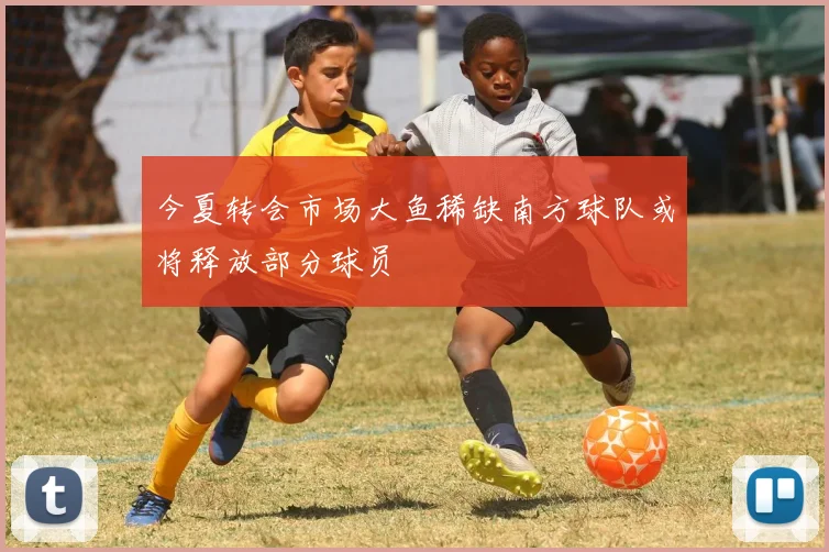 今夏转会市场大鱼稀缺南方球队或将释放部分球员