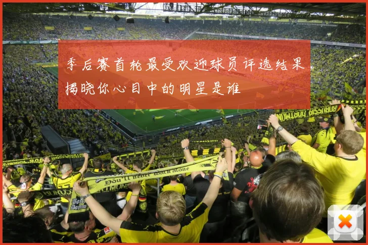 季后赛首轮最受欢迎球员评选结果揭晓你心目中的明星是谁