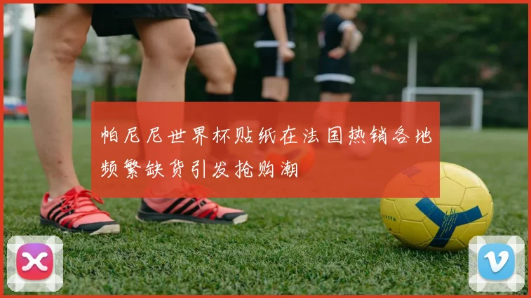 帕尼尼世界杯贴纸在法国热销各地频繁缺货引发抢购潮